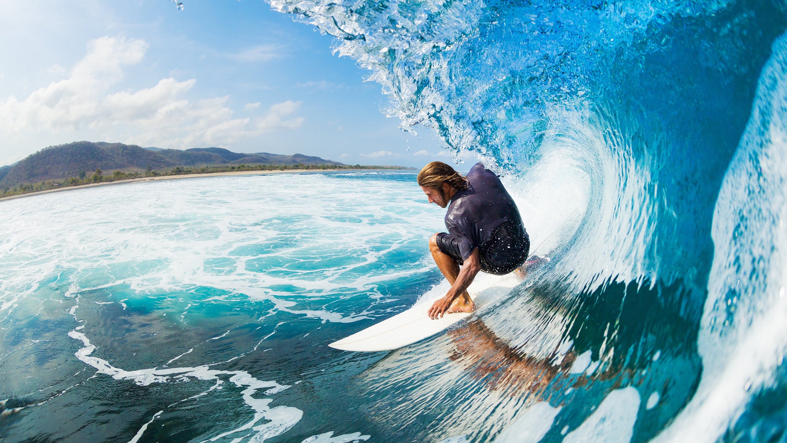 自由泳荷兰冲刺阶段稳如磐石，荷兰自由王国